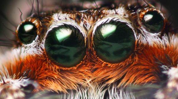 romania si ungaria au cazut de acord asupra livrarilor de gaze naturale