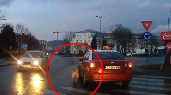 caz halucinant la cluj un caine a fost legat de un taxi si plimbat pe bulevardul orasului pentru ca era prea murdar sa urce in masina