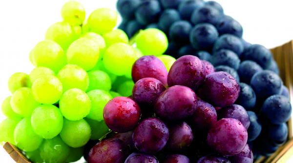 ce sunt fitoestrogenii si cum te ajuta