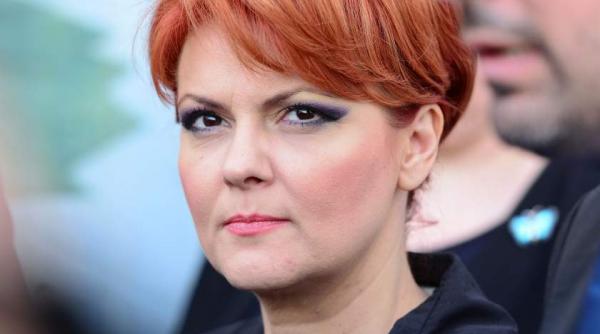 olguta vasilescu sustine ca angajatorii din mediul privat care au scazut salariile l au furat pe angajat