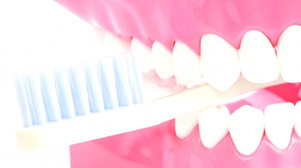 sapte lucruri pe care nu le stiai despre dinti