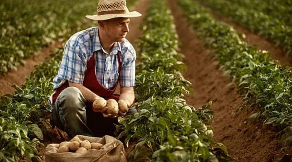 vesti bune pentru fermieri viorica dancila a anuntat ca acestia isi vor primi in avans subventiile pentru agricultura