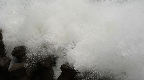 constanta si tulcea cod galben de vant puternic si ninsori