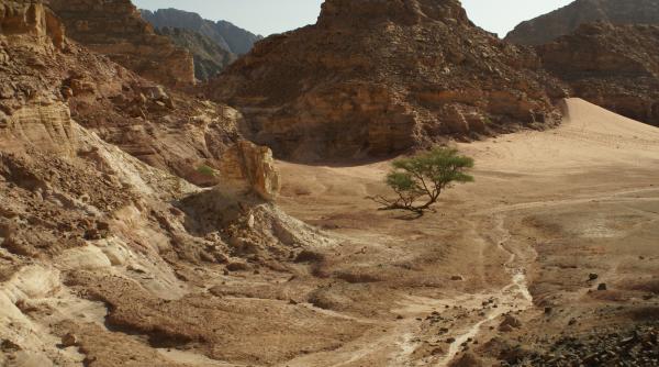 egipt armata a ucis 16 militanti jihadisti intr o operatiune in sinai