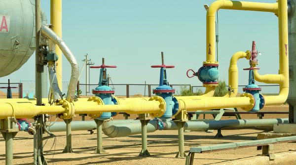 bursa din viena va dicta pretul gazelor in romania