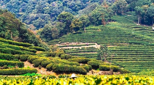 china interzice dezvoltarea economica pe o suprafata echivalenta cu cea a ucrainei