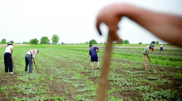 ungurii si polonezii ne hranesc de un miliard an