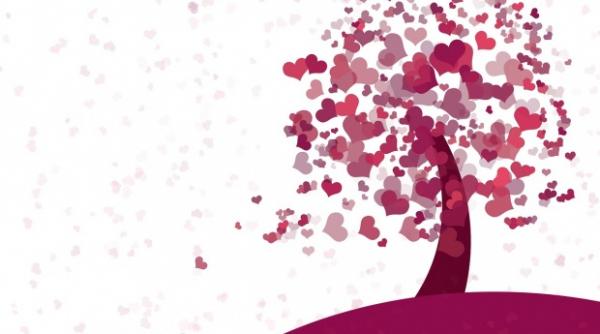 surpriza majora de valentine s day 2018