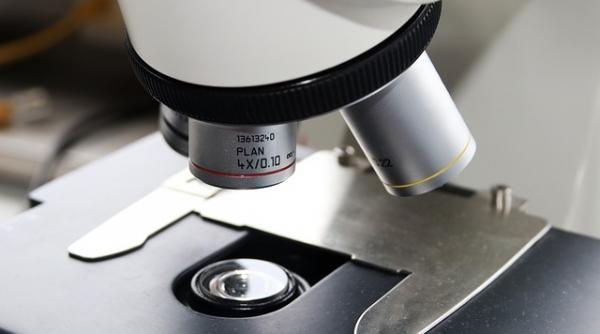 chinezii au creat nanoroboti care ucid celulele canceroase