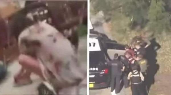 masacru la un liceu din florida cel putin 15 morti