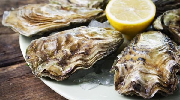 plachie de stridii reteta ecaterinei steriady colonelu de la 1871