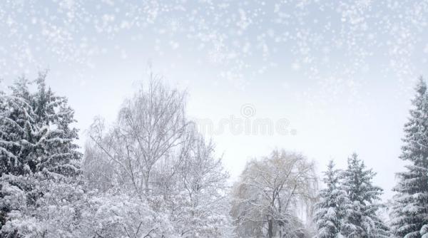 prognoza meteo pentru 19 20 si 21 februarie ninsori