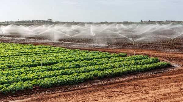 top 5 tari cu cele mai intinse suprafete agricole unde se situeaza romania cei avea o surpriza