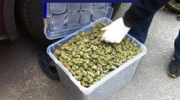 doua tinere din capitala au fost prinse in flagrant de politisti in timp ce vindeau 5 kilograme de canabis