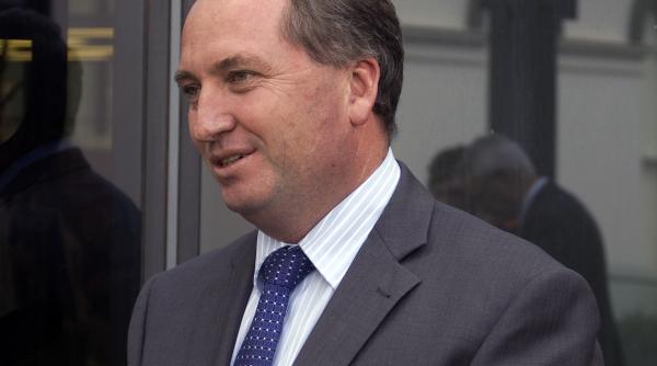 viceprim ministrul australiei demisioneaza