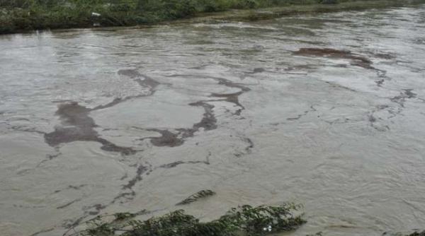 alerta in bihor o noua poluare cu titei in comuna suplacu de barcau