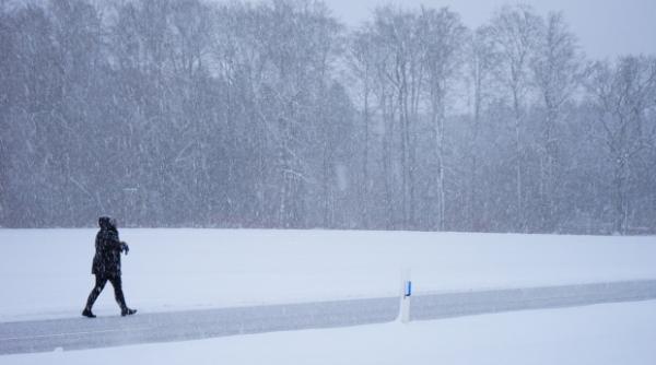 bestia din est aduce zapada si incurca traficul in marea britanie