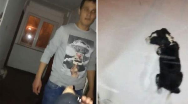 monstruos un barbat din constanta a batut crunt un catel si l a aruncat afara in zapada