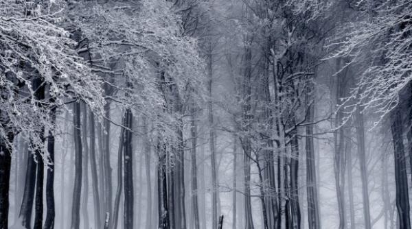 irlanda furtuna emma goleste rafturile magazinelor