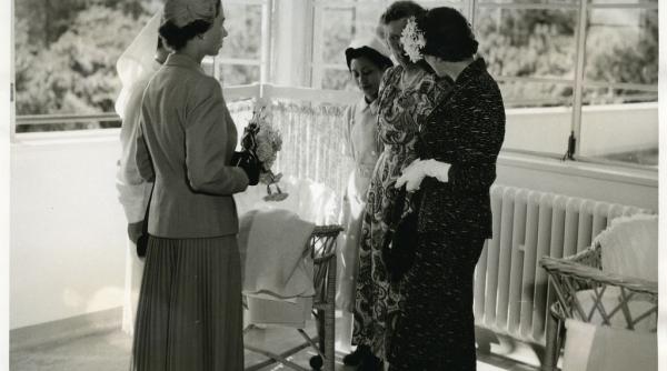 documente desecretizate din noua zeelanda confirma incercarea de asasinare a reginei elizabeta a ii a