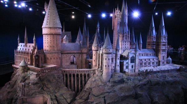 o universitate din canada cauta profesor de magie