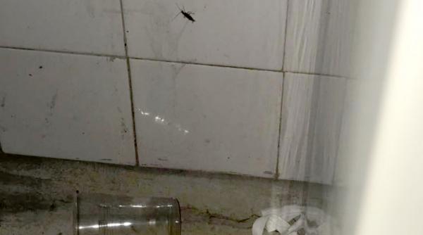 alexandra stan scandalizata de mizeria din spitalul de urgenta din constanta