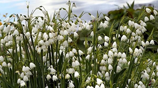 schimbare brusca a vremii anuntul facut de meteorologi