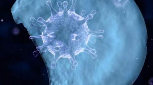 alimente care te protejeaza de astenia de primavara