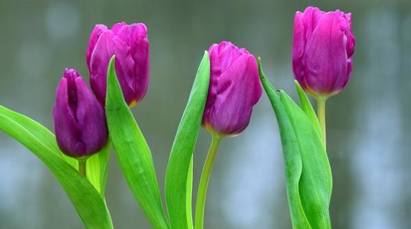 vesti excelente de la meteorologi vremea s a incalzit considerabil