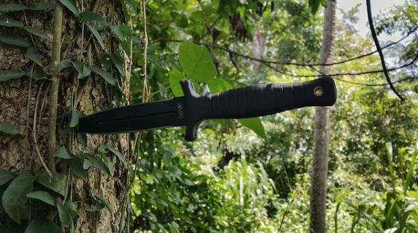 atac cu cutitul in fata resedintei ambasadorului iranului la viena