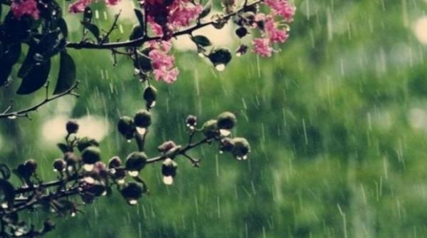 prognoza meteo pentru 13 14 si 15 martie ploi slabe