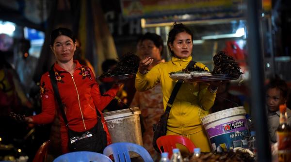 cele mai infricosatoare probe din asia express concurentii vor cara pe ei tarantule vii si se vor tatua intr un templu budist