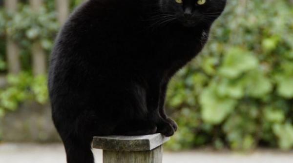 marti 13 zi cu ghinion cum te feresti de cele trei ceasuri rele