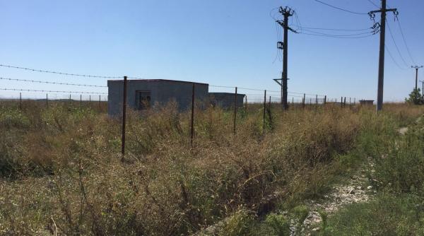 instalatia de tocat bani de la daia giurgiu