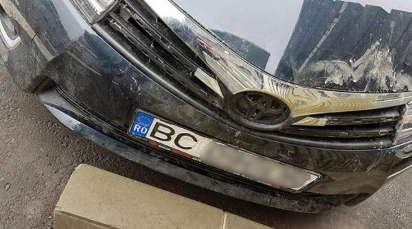 ireal o haita de caini a reusit sa vandalizeze o masina noua in bacau