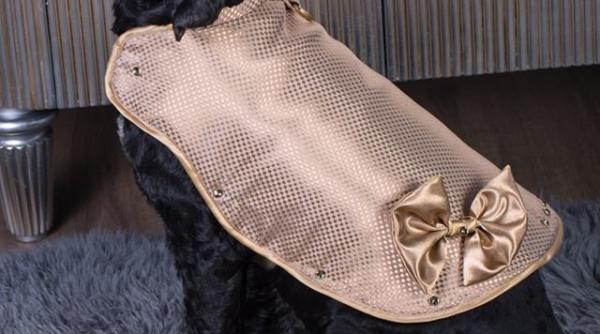 o hainuta pentru caine vanduta cu 1 milion de lire sterline