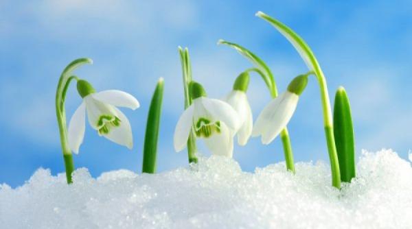 cele mai frumoase mesaje de 1 martie legenda martisorului