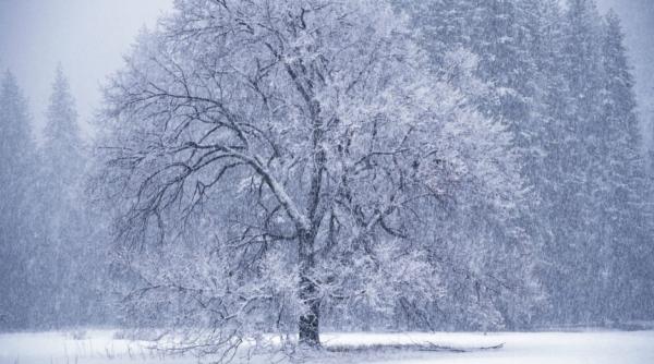 prognoza meteo pentru 22 23 si 24 martie ger ninsori si polei