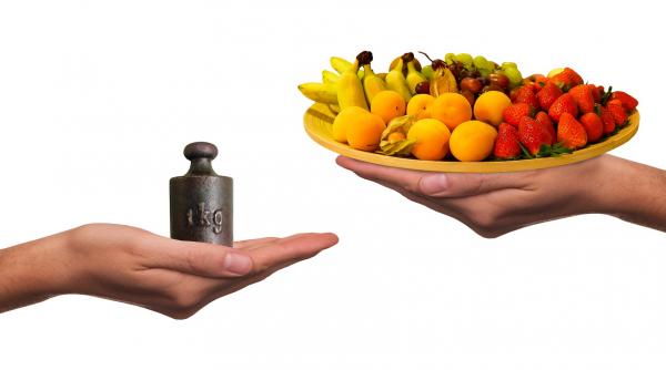 cura de slabire sanatoasa se face consumand zilnic din toate principiile alimentare