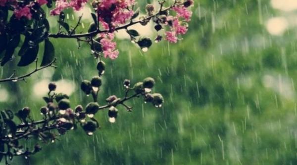 prognoza meteo pentru 27 28 si 29 martie ploi slabe