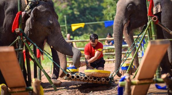 asia express record de audienta de la lansarea show ului andrei stefanescu si liviu varciu continua competitia au fost salvati de dragonul verde