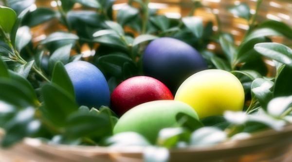 atentie la vopseaua de oua iata cat de toxica poate fi