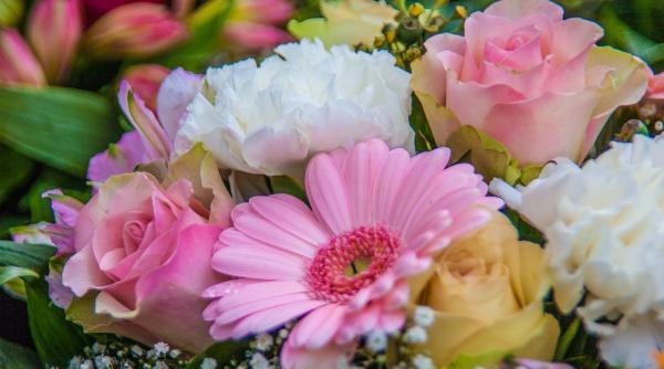 tu stiai ca trebuie sa i celebrezi si pe anton suzana si silviu de florii aproape 1 5 milioane de romani isi celebreaza onomastica in duminica floriilor