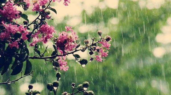 cum va fi vremea luna aprilie