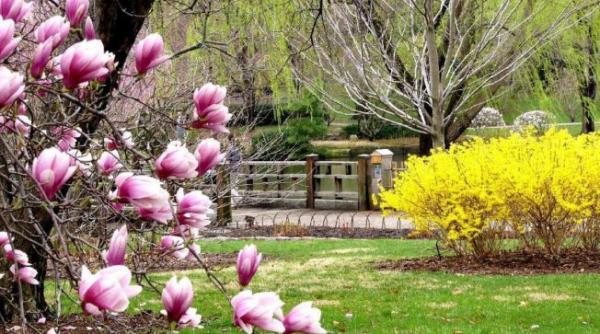 anunt de ultima ora de la meteorologi cum va fi vremea de paste