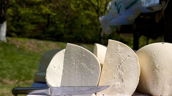 branza cocaina produselor lactate ce alte alimente mai dau dependenta