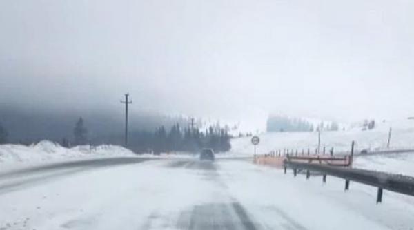 incredibil ninsorile s au intors in pasul tihuta pe dn 17