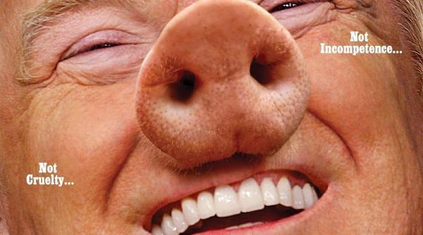 new york magazine publica pe coperta un portret al lui trump cu rat