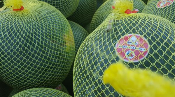 p seminte de plante succesul unui magazin virtual extins in spatiul real