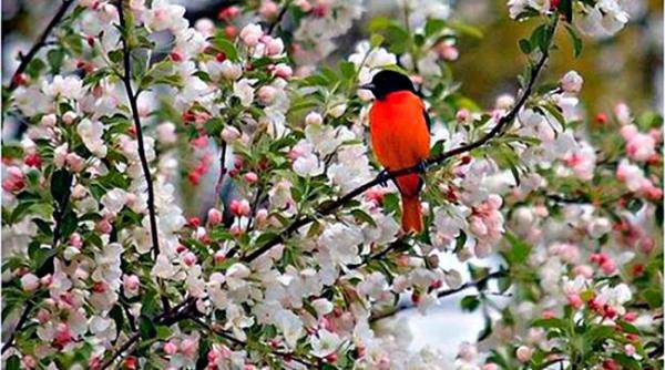 prognoza meteo pentru 3 4 si 5 aprilie cer senin